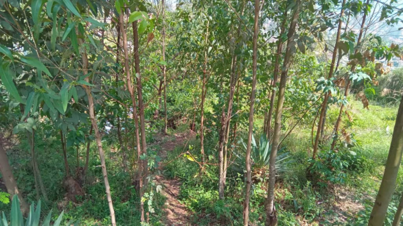plot-for-sale-in-rebero-with-panoramic-view-of-kigali-city-big-9