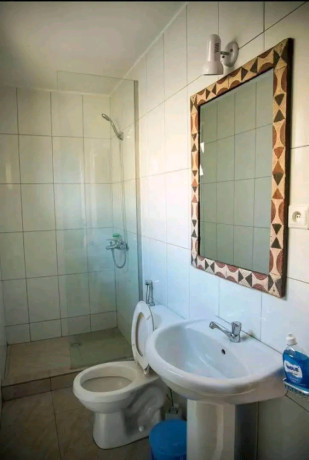 gishushu-fully-furnished-2bedrooms-apartment-for-rent-at-1m-in-good-location-big-8