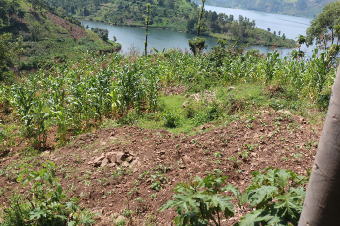 land-for-sale-in-karongi-rwanda-access-on-lake-kivu-big-1