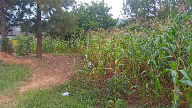 kigali-plot-for-sale-in-rebero-big-3