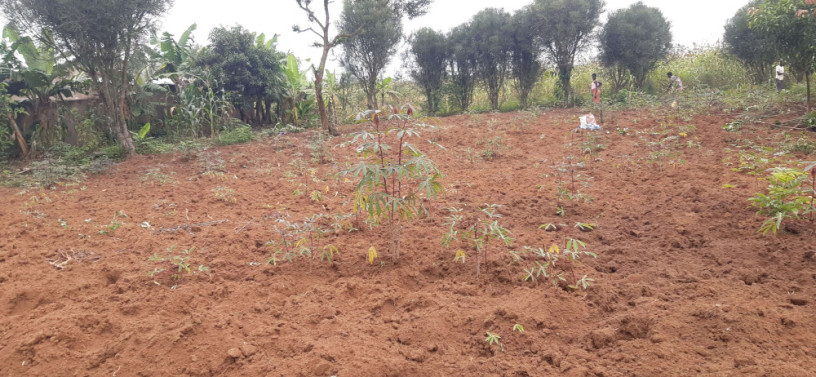 residential-plot-for-sale-in-nyarugenge-kigali-big-0