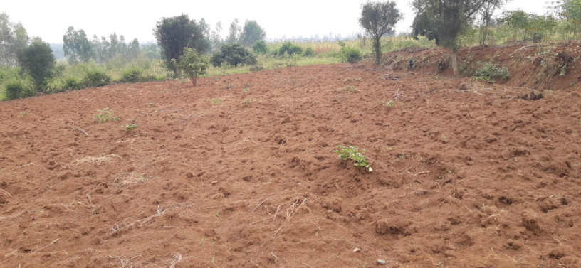 land-for-sale-in-bugesera-near-airport-of-rwanda-big-0