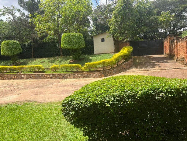 kigali-big-plot-for-sale-with-an-old-house-in-kimihurura-big-2