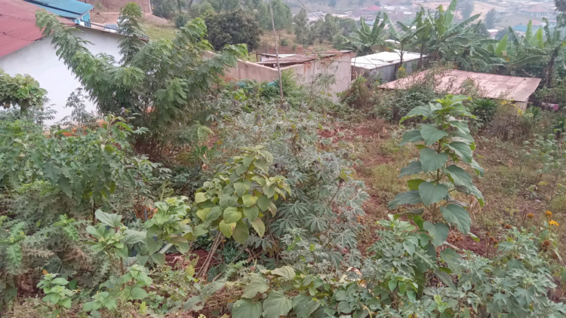 kigali-land-for-sale-in-rebero-facing-nyamirambo-side-big-8