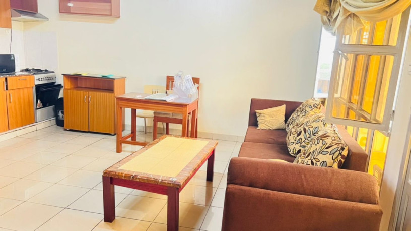 nyarutarama-near-sudan-embassy-furnished-apartment-for-rent-in-kigali-big-3