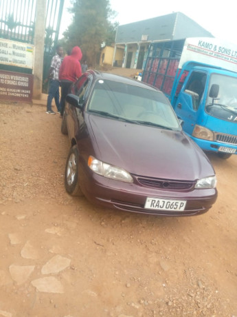 toyota-corolla-big-5