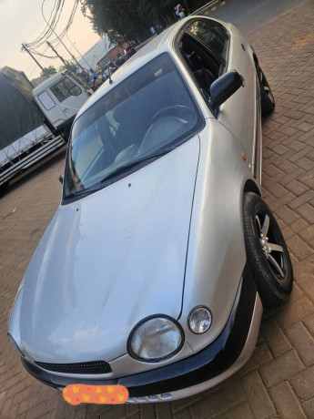 corolla-maco-big-0