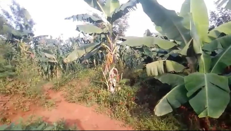 farmland-for-sale-at-kirehe-mpanga-big-1