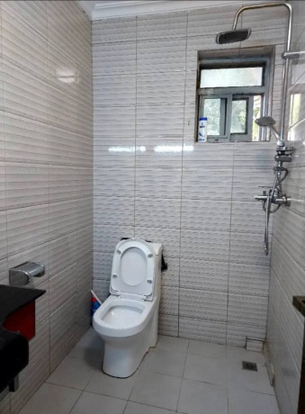 full-furnished-apartment-for-rent-in-kagugu-big-8