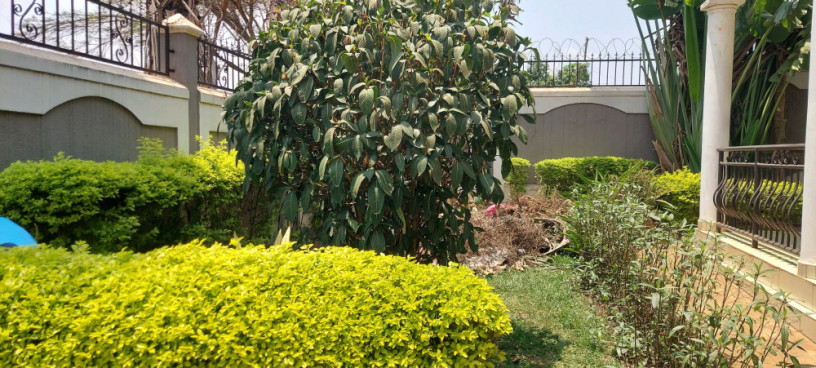 kigali-unfurnished-family-house-available-for-rent-in-kacyiru-big-2
