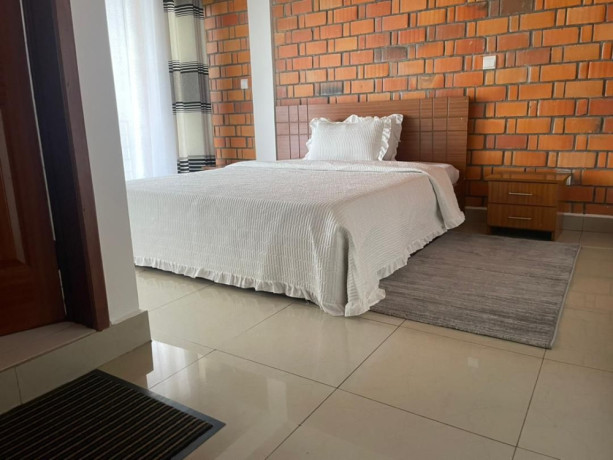 fully-furnished-apartment-for-rent-in-kigali-remera-big-2
