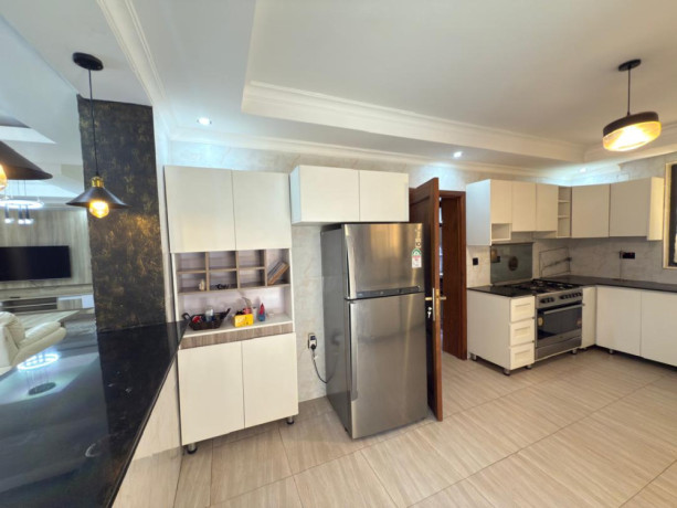 vision-2020-estate-newly-renovated-house-for-rent-in-kigali-big-6
