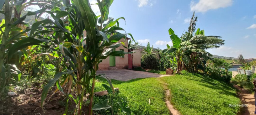 plot-for-sale-in-gisas-at-agood-place-big-3