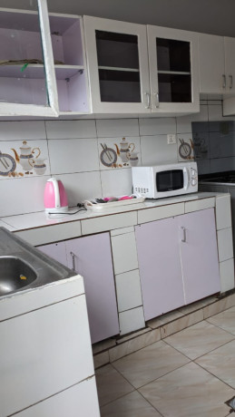 pm-016-kibagabaga-kibagabaga-very-nice-fully-furnished-house-for-rent-big-10