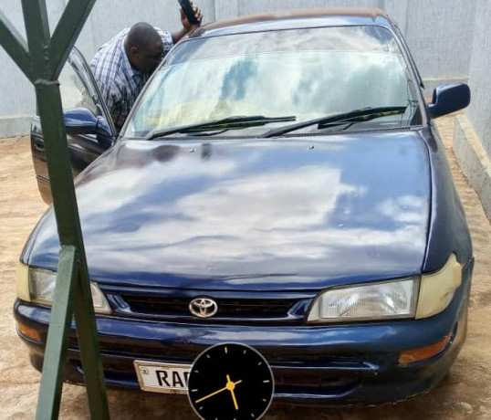 toyota-corolla-big-2