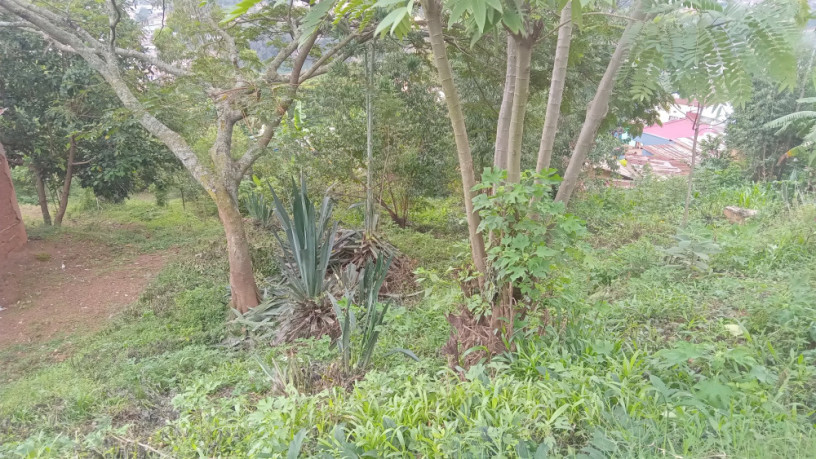 kigali-land-for-sale-in-nyamirambo-mumena-big-8