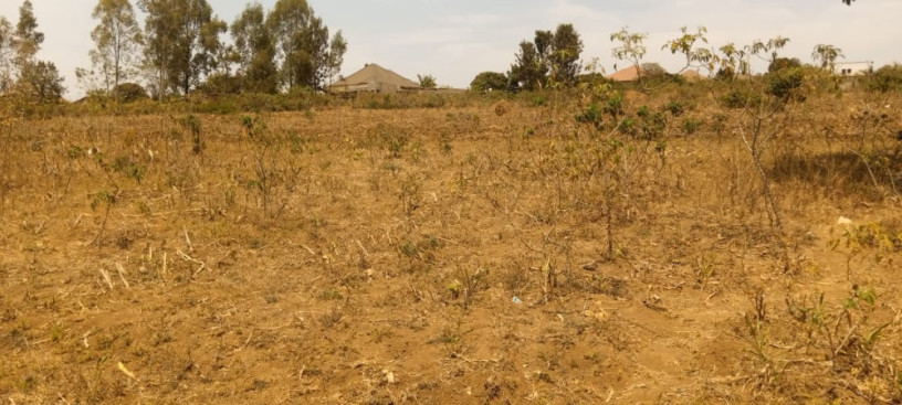 busanza-plot-for-sale-big-8