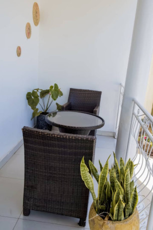 gacuriro-fully-furnished-apartment-for-rent-in-kigali-big-4