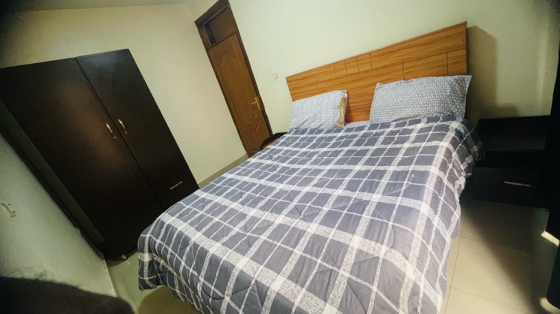 remera-apartment-for-rent-in-kigali-big-1