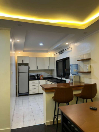 kigali-fully-furnished-apartment-for-rent-in-gishushu-big-2