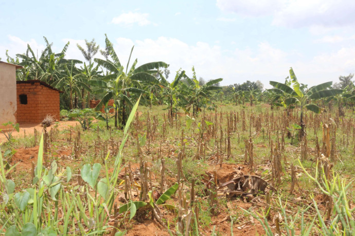rwanda-plot-for-sale-in-bugesera-big-1