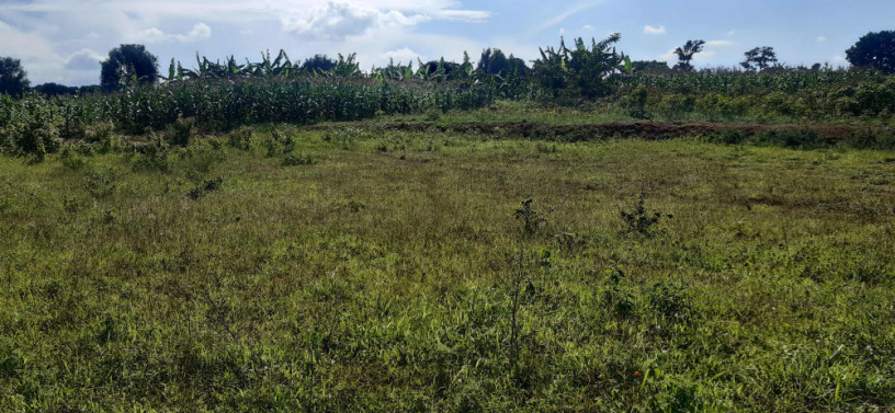 residential-plot-for-sale-in-bugesera-near-airport-hot-deal-gashora-big-0