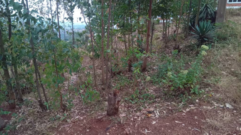 rebero-facing-town-land-for-sale-in-kigali-big-0