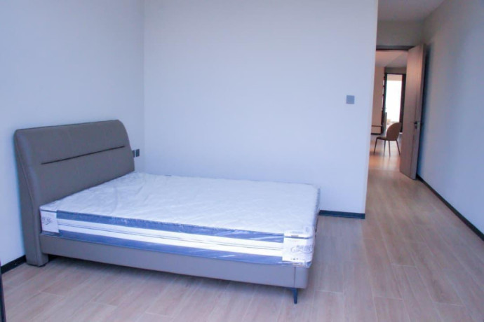 ep-066-kiyovu-kiyovu-very-nice-new-luxurious-house-for-sale-with-swimming-pool-in-kigali-rwanda-big-11