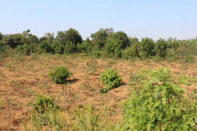 industrial-land-for-sale-in-bugesera-near-airport-of-rwanda-big-2