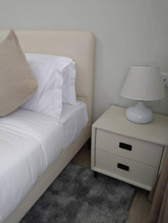 gacuriro-nice-furnished-apartment-for-rent-in-kigali-big-2
