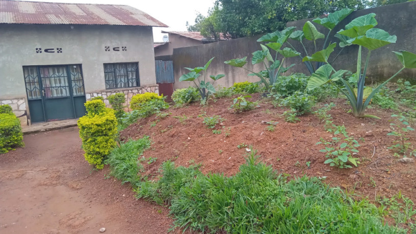 kigali-land-for-sale-in-rebero-big-5