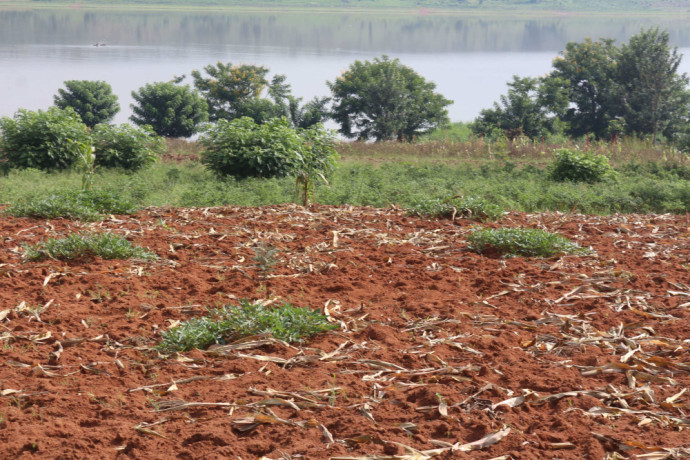 land-on-lake-for-sale-in-bugesera-near-airport-of-rwanda-big-1