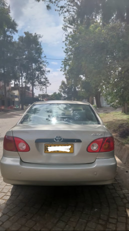 toyota-corolla-big-0