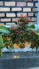 kimironko-house-for-sale-in-kigali-big-2