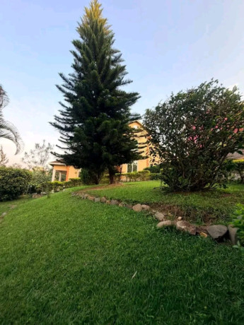 this-is-beautiful-fully-furnished-house-for-rent-in-gishushu-on-tarmac-road-good-location-in-prime-neighborhood-big-1