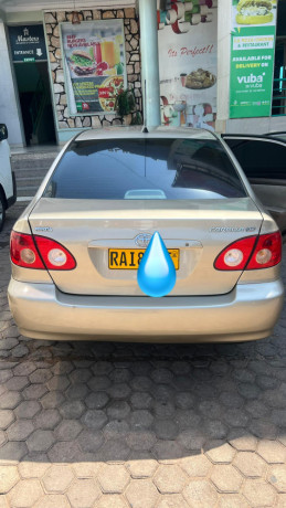 toyota-corolla-big-0