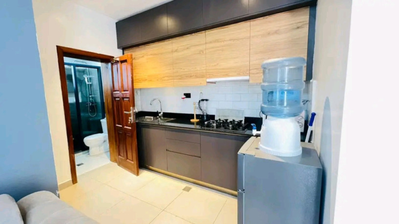 remera-furnished-1bedroom-apartment-for-rent-at-700k-in-good-location-big-3