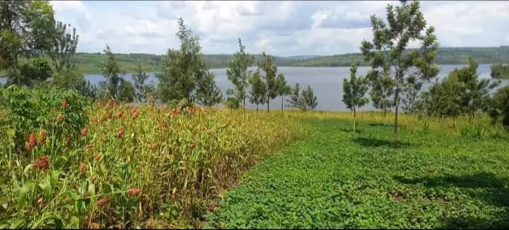 plot-for-sale-in-rwamagana-big-2