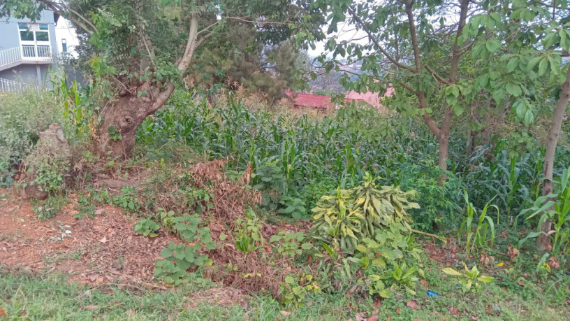 kigali-plot-for-sale-in-rebero-big-2