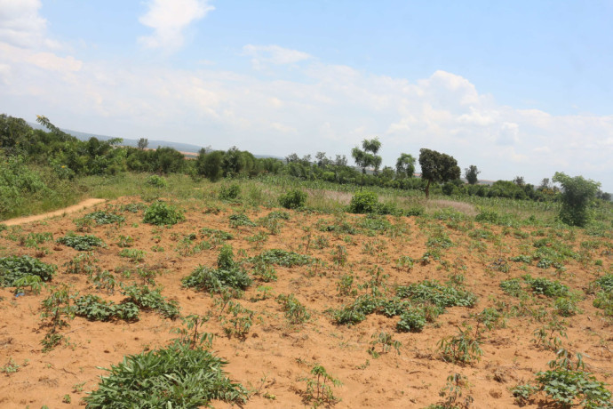 land-for-sale-in-bugesera-nembanear-industrial-park-of-rwanda-big-0