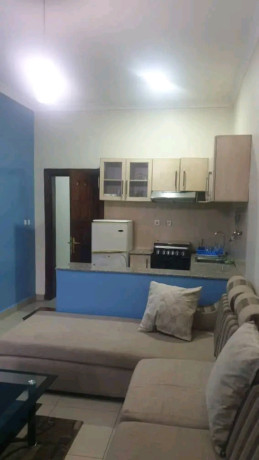 kimihurura-fully-furnished-1bedroom-apartment-for-rent-at-600k-in-good-location-big-2