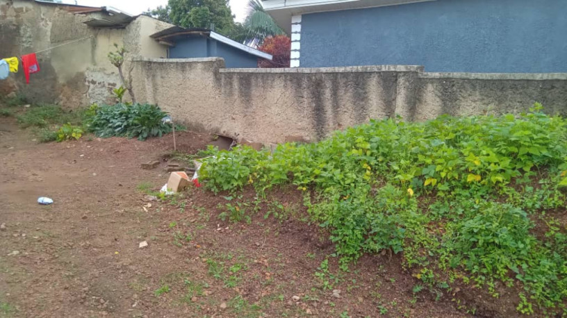 kigali-land-for-sale-in-kiyovu-rugunga-big-2