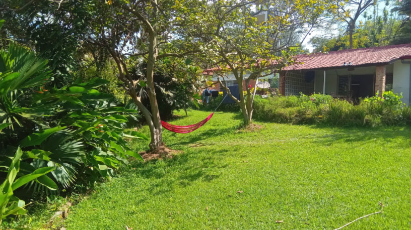 kiyovu-plot-for-sale-big-1