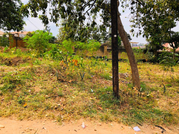 kagugu-plot-for-sale-big-2