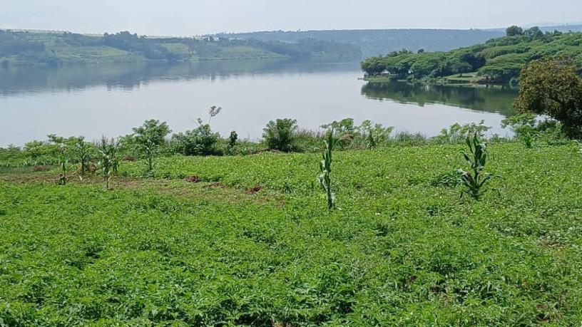 gatsibo-muhazi-plot-for-sale-big-13