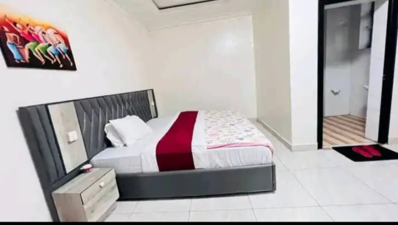 beautiful-full-furnished-apartment-for-rent-in-kigali-remera-near-bk-arena-big-4