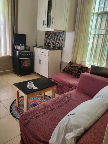 nice-full-furnished-apartment-for-rent-in-kimironko-in-vip-neighbourhood-big-0