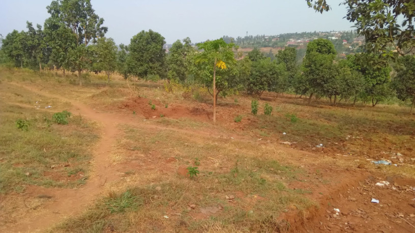 plot-for-sale-in-ndera-on-auctioncyamunara-big-11