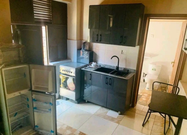 kigali-fully-furnished-apartment-for-rent-in-kiyovu-big-4