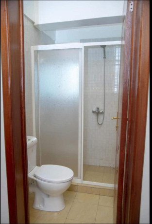 kigali-nice-fully-furnished-apartment-for-rent-in-remera-big-2